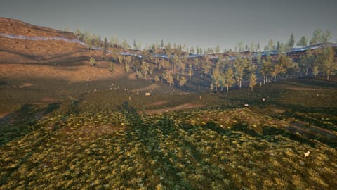 Evening light over the valley and its woods