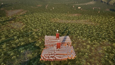 Two companies in close order seen from above